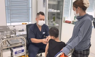 Bệnh dại rình rập sau vết cắn từ vật nuôi đã tiêm phòng