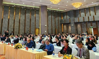 Đẩy mạnh nghiên cứu ứng dụng tế bào gốc tại Việt Nam