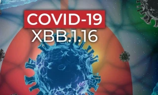 COVID-19 vẫn diễn biến khó lường, Bộ Y tế cảnh báo nguy cơ gia tăng ca mắc