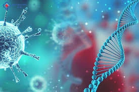 Giải mã bộ gene – bước đột phá trong điều trị ung thư cá thể hóa