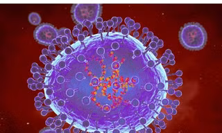 Minh họa máy tính về các hạt của metapneumovirus ở người (HMPV).