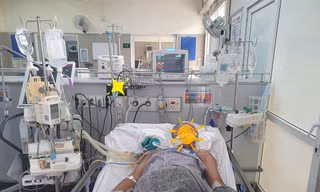Hôn mê, liệt toàn thân vì ăn cua mặt quỷ