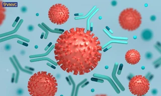 Ngày 29/4, Việt Nam ghi nhận 6.068 ca COVID-19