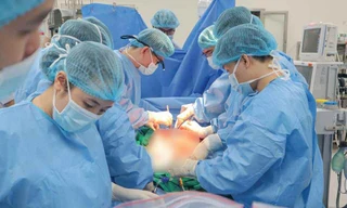 Sự sống tiếp nối từ mất mát: Hồi sinh kì diệu giữa đêm trắng