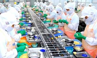 Sáu tháng nhập siêu hơn 685 triệu USD