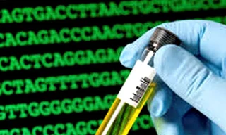 Bố con nhận nhau nhờ giải oan... ADN