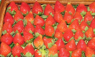 Chìm nổi ba đặc sản Việt Nam