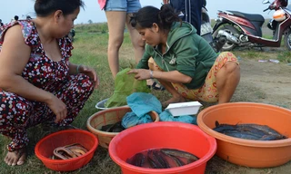 Thợ săn thành phố - bài cuối: Thân lươn bao quản lấm đầu…