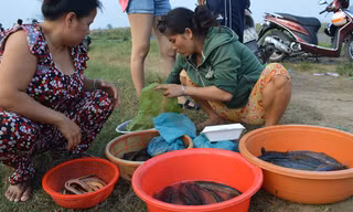 Thợ săn thành phố - bài cuối: Thân lươn bao quản lấm đầu…
