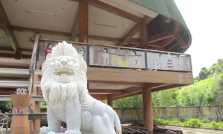 Sư tử ngoại nhe nanh trước nhà truyền thống Cơ Tu 