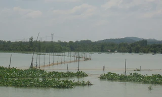 Mặt hồ Trị An bị bao chiếm trái phép