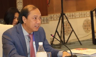 Thứ trưởng Ngoại giao Nguyễn Quốc Dũng tại phiên họp SOM Asean - Ấn Độ ngày 23/1. (Ảnh: Huy Bình)