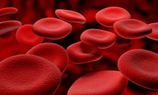 Những điều bạn nên biết về thiếu máu thiếu sắt