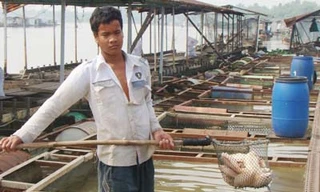 Cá chết tại bè nuôi cá của ông Trần Đức Cần ngày 3-1