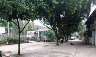 Một số hộ dân ở xã Đa Tốn (huyện Gia Lâm,thành phố Hà Nội) lấn chiếm, san lấp, xây kè mương thoát nước để sử dụng diện tích làm hàng quán kinh doanh.