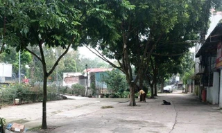 Một số hộ dân ở xã Đa Tốn (huyện Gia Lâm,thành phố Hà Nội) lấn chiếm, san lấp, xây kè mương thoát nước để sử dụng diện tích làm hàng quán kinh doanh.