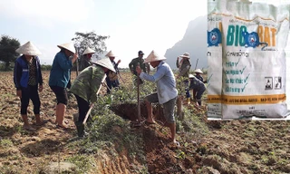 UBND thành phố Thanh Hóa chỉ đạo kiểm điểm làm rõ trách nhiệm tập thể và cá nhân để xảy ra sai sót trong công tác tham mưu sử dụng mồi diệt chuột bị cấm lưu hành