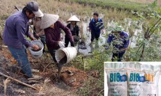 Thành phố Thanh Hóa đã dừng sử dụng thuốc diệt chuột bị cấm lưu hành Biorat