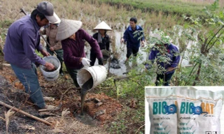 Thành phố Thanh Hóa đã dừng sử dụng thuốc diệt chuột bị cấm lưu hành Biorat