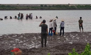 Hình ảnh đăng tải trên các trang mạng cho rằng chính quyền Nam Điền "bật đèn xanh" cho dân đi hôi của - Ảnh: mạng xã hội