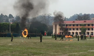 Vượt qua vòng lửa một cách điêu luyện.
