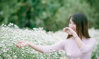 Mê mẩn ngắm thiếu nữ Hà thành khoe sắc bên cúc họa mi