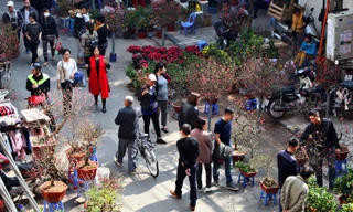 Chiều cuối năm trên chợ hoa phố cổ Hàng Lược