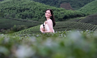 Ngắm nhan sắc thí sinh HHVN thả dáng ở đồi chè Thanh Chương