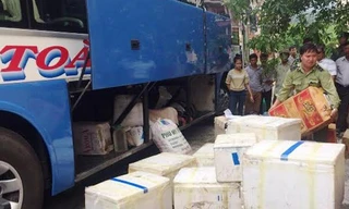 Gần 5 tạ cá được trữ trong 15 thùng xốp để chuyển ra tỉnh ngoài tiêu thụ. 