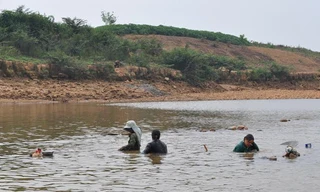 Hàng trăm người dân đổ xô đi đãi vàng.