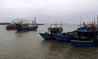 Tàu thuyền được phép quay ra khơi sau bão, nhưng phải bảo đảm điều kiện an toàn về phương tiện, hệ thống thông tin liên lạc, trang thiết bị cứu hộ cứu nạn.