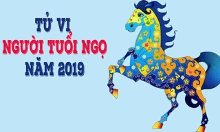 Không chỉ mang đến may mắn về tài lộc mà người tuổi Ngọ còn được thăng chức, tăng lương trong năm 2019. Ảnh minh hoạ.