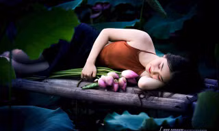 Những thiếu nữ hút mắt ở hồ sen, đâu cần phải khoe thân