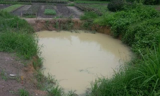 Hố nước nơi ba cháu nhỏ tử vong.