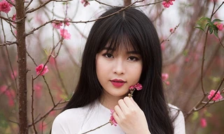 Nữ sinh Bưu chính làm duyên với hoa đào Nhật Tân