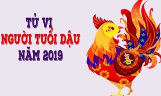 Về sức khoẻ, người tuổi Dậu có thể không mắc bệnh nặng nhưng bệnh vặt hay thương tật, tai nạn bất ngờ khó tránh. Ảnh minh hoạ.