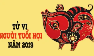 Tử vi tuổi Hợi 2019 dự báo sẽ có nhiều thay đổi, biến động về phương diện công việc, sự nghiệp. Ảnh minh hoạ.