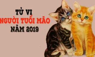 Theo tử vi phương Đông, tuổi Mão trong năm 2019 dễ bị tranh chấp, kiện tụng pháp luật rắc rối, nghiêm trọng hơn là họa lao ngục. Ảnh minh hoạ.