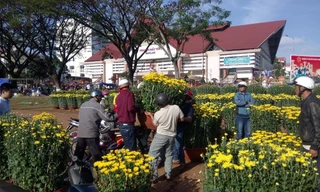 Đắk Lắk: Chợ hoa Tết ế ẩm 