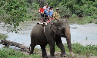 Hàng nghìn du khách đến Buôn Đôn cưỡi voi
