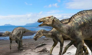 Hình ảnh phác hoạ loài khủng long mới ở Nhật Bản.