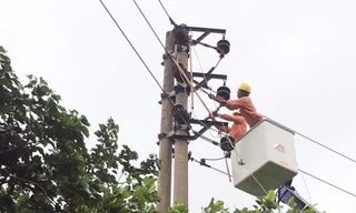 Công nhân ngành điện khẩn trương khắc phục hậu quả do bão số 2 gây ra
