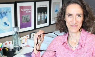 GS Sally Dunwoodie cho biết vitamin B3 có khả năng ngăn ngừa sảy thai và dị tật bẩm sinh ở thai nhi (Ảnh: Huffingtonpost.com.au).