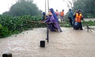 Lũ dâng nhanh bất ngờ, thiệt hại chồng chất
