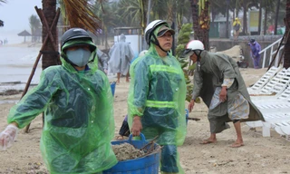 Người dân và các lực lượng nỗ lực chung ray dọn dẹp Đà Nẵng sau cơn bão số 12 để làm thành phố sạch đẹp đón APEC.