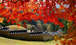Cơ hội du lịch miễn phí Hàn Quốc mùa lá đỏ