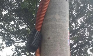 Cáp của SCTV tại Ninh Bình bị cắt vì chây ỳ trả nợ