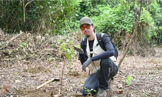 Hà Anh Tuấn, Đen Vâu trồng cây quý ở rừng Cúc Phương