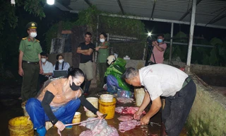 Phát hiện gần 3 tấn thịt lợn nhiễm dịch tả lợn châu Phi