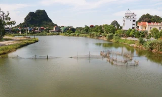 Dự án Sào Khê đội vốn 36 lần nhận được sự quan tâm của dư luận